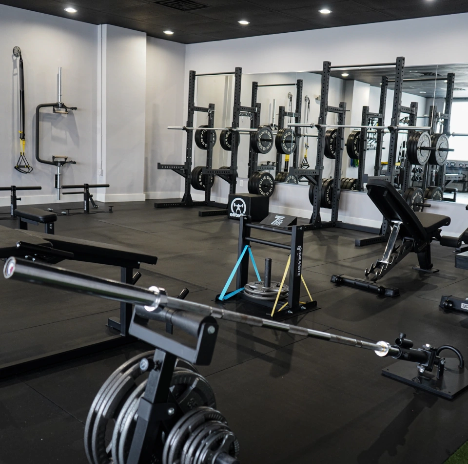 Home 1 Synergee Fitness Gym Setup
